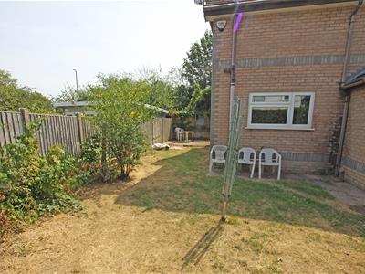 Picture 16